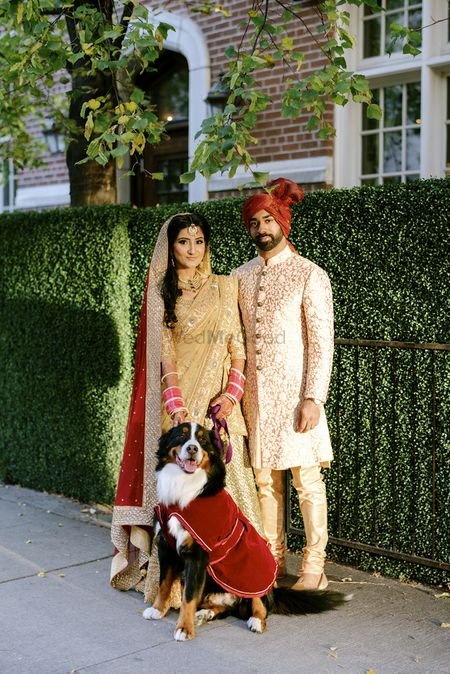 Photo of pet photos in wedding