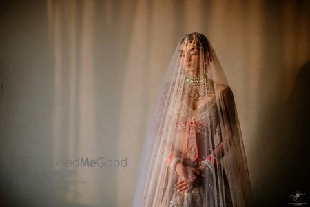 Gorgeous bridal portrait with the bride with a sheer veil on her wedding day