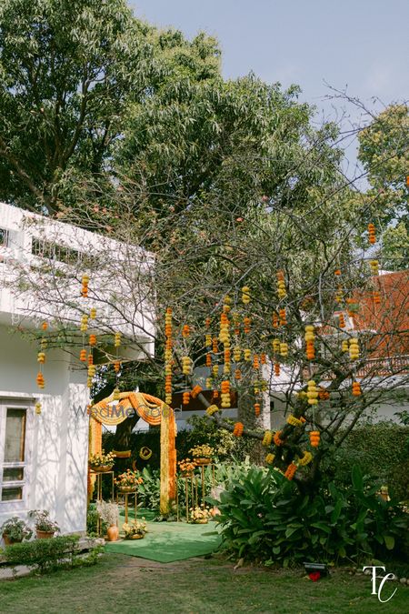 Simple decor with yellow and orange gendaphool for an outdoor event