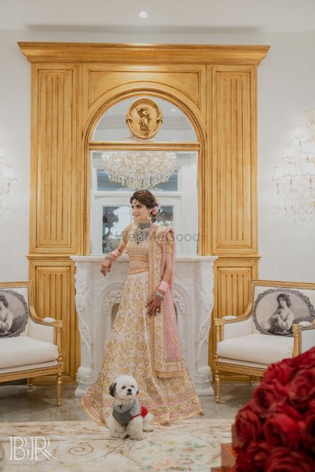 bridal portrait idea with her dog before wedding