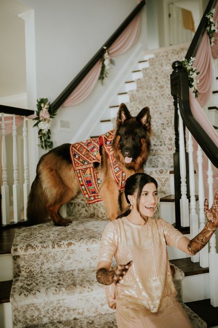 bridal portrait with her dog wearing clothes
