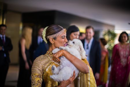 Photo of Cute bride and dog photoshoot for the wedding
