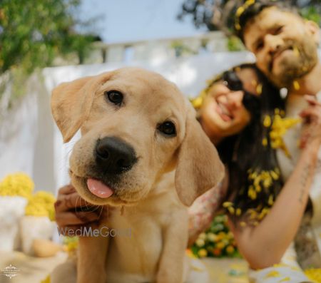 Photo of Super adorable couple portrait with their dog on their haldi day
