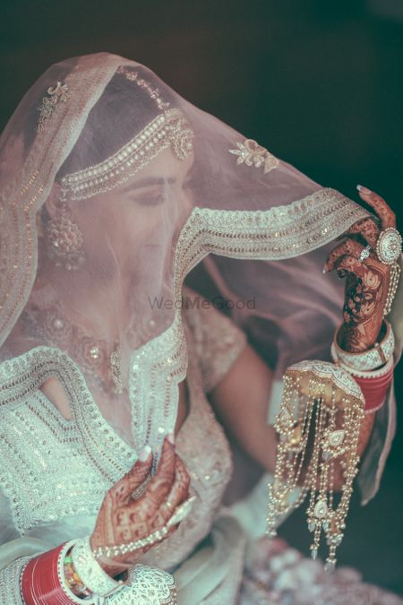 Photo of Gorgeous bridal portrait with veil