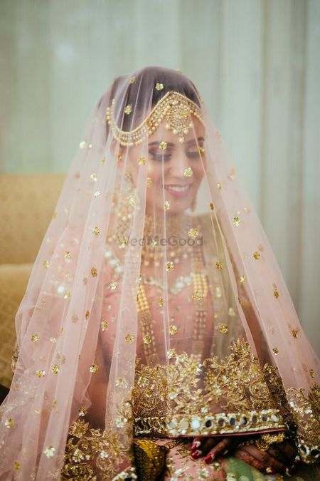 Photo of Wedding day bridal portrait with dupatta as veil
