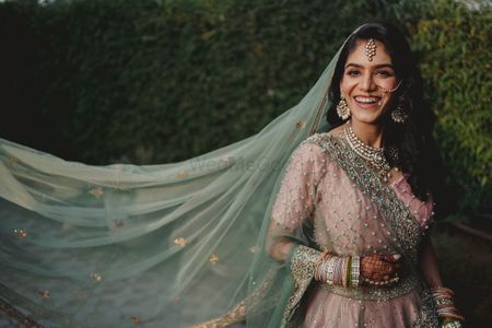 Photo of pretty bridal portrait with veil