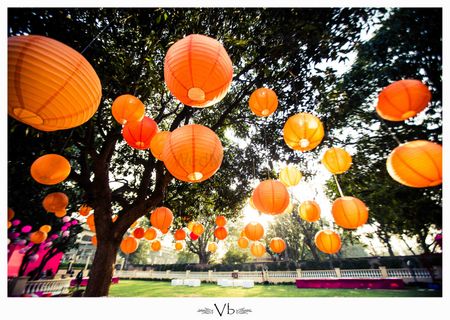Photo of paper lanterns hung from trees on day mehendi