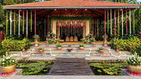 The Peacock Grove cover photo