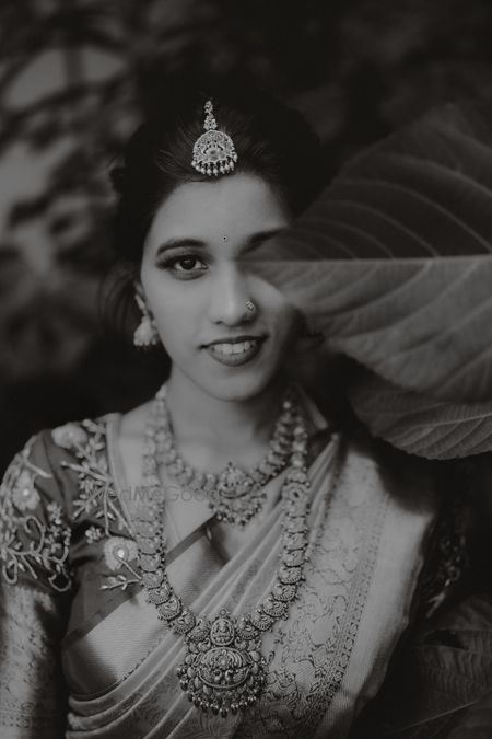 portfolio-pic