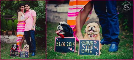 Save the Date with Pet Dogs