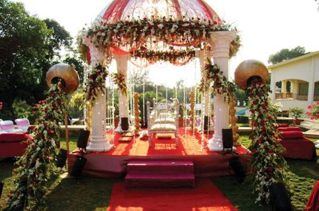 Gold pots with spilling flowers in front of white mandap