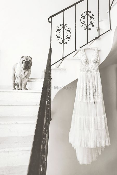 Photo of Bridal gown on hanger with pet standing on the side