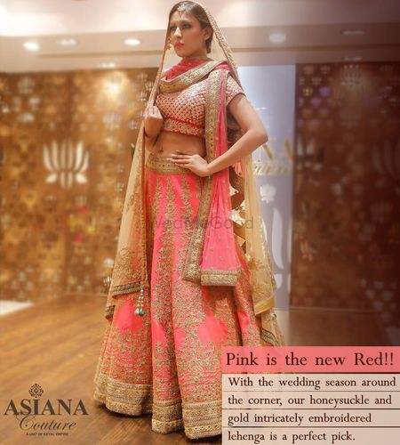 honeysuckle pink lehenga