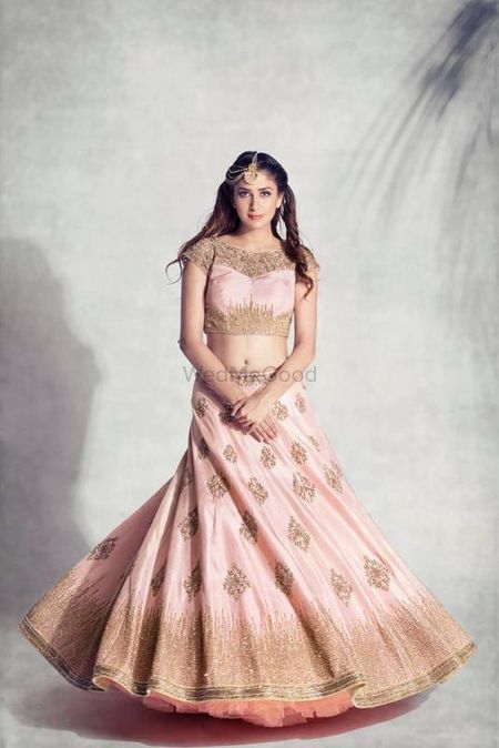 Photo of Blush Pink Lehenga with Dull Gold Sequin Motifs