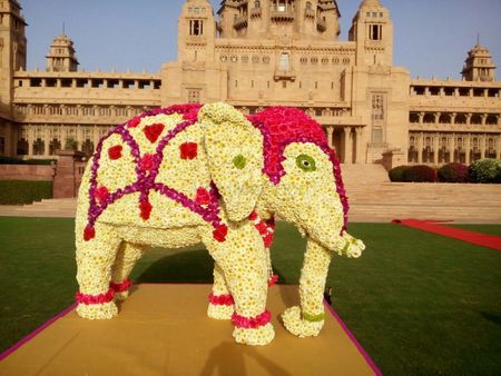 Photo of White and pink floral elephant
