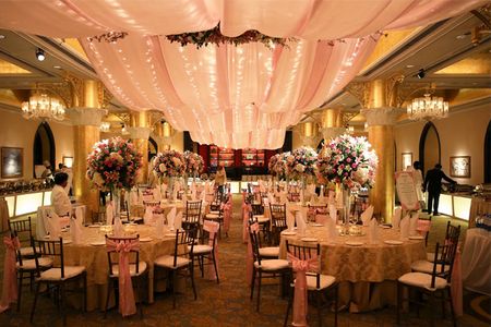Pastel Pink Themed Decor with Fairy Lights and Canopy