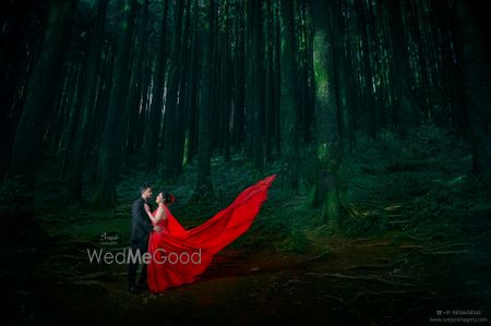 portfolio-pic