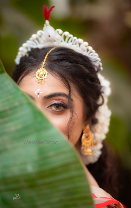 portfolio-pic