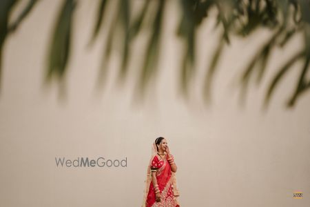 portfolio-pic