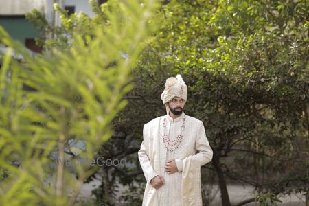 portfolio-pic