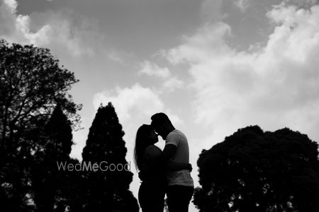 portfolio-pic