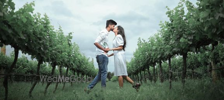 portfolio-pic