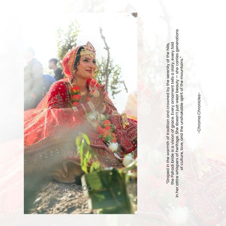 portfolio-pic