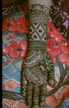portfolio-pic