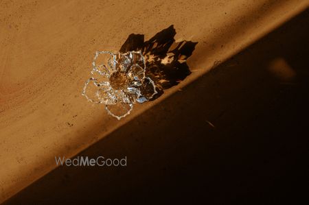 portfolio-pic
