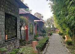 portfolio-pic