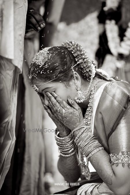 portfolio-pic