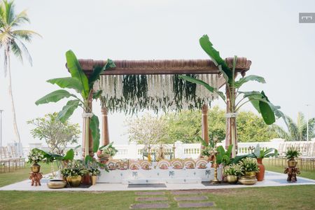portfolio-pic