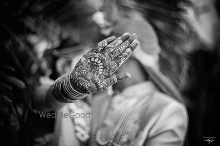 portfolio-pic