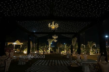 portfolio-pic