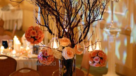 Photo of peach roses