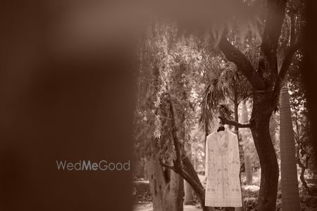 portfolio-pic
