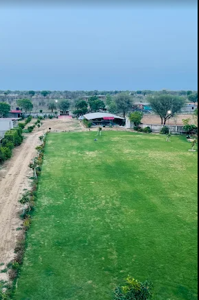 portfolio-pic