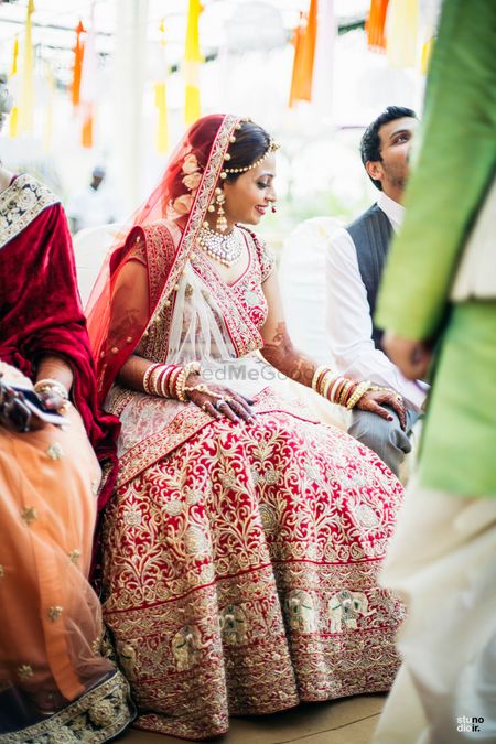 Photo of Red and gold bridal lehenga with elephant embroidered motif