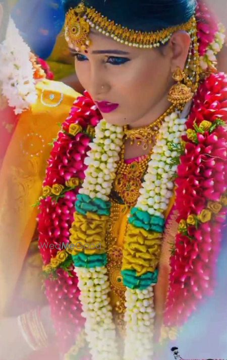 portfolio-pic