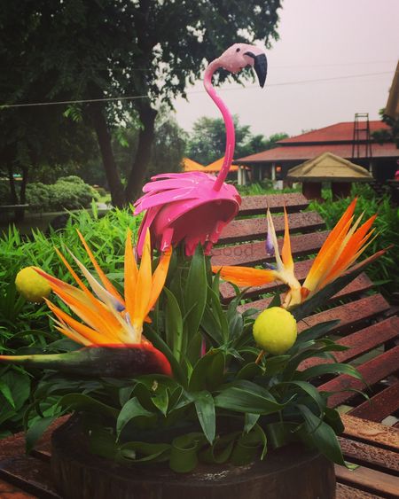 Tropical theme decor with flamingo prop