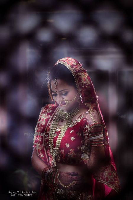 portfolio-pic