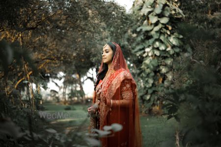 portfolio-pic