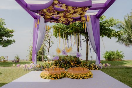 portfolio-pic