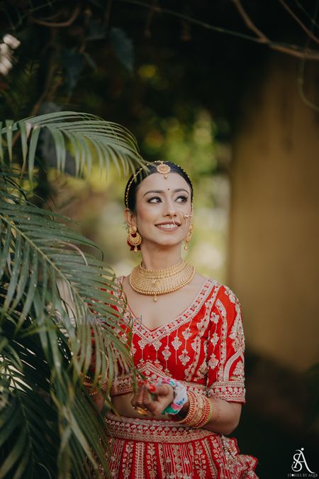 portfolio-pic