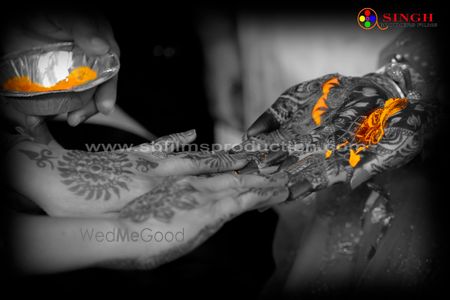 portfolio-pic