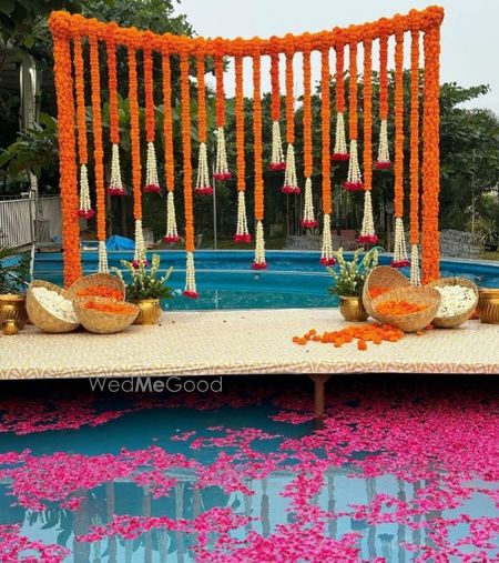 portfolio-pic