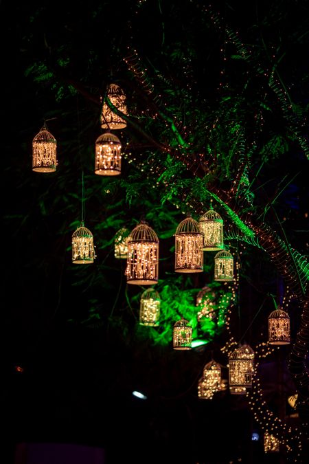 These beautiful birdcages and fairylights make for a perfect decor for an intimate function.