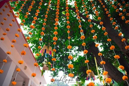 Tree decor ideas with hanging genda strings 