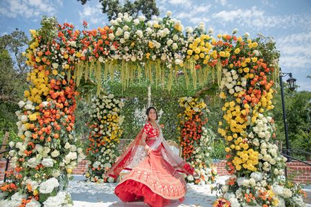 Photo of A bride in red twirls infront of her floral mandap