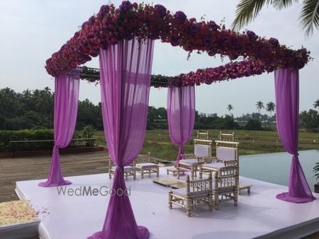 Purple Drapes Mandap with Rose Decor